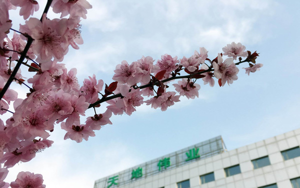 亿万先生mr·(中国区)官方网站