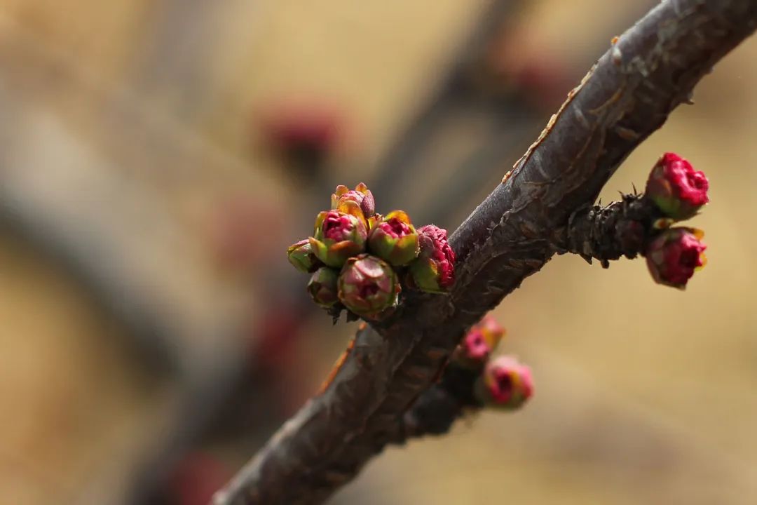 亿万先生mr·(中国区)官方网站