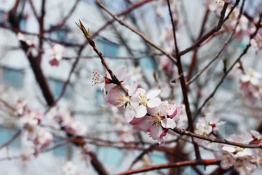 亿万先生mr·(中国区)官方网站