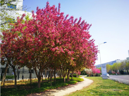 亿万先生mr·(中国区)官方网站