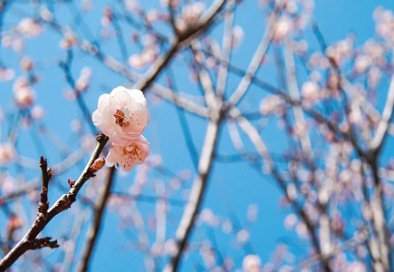 亿万先生mr·(中国区)官方网站